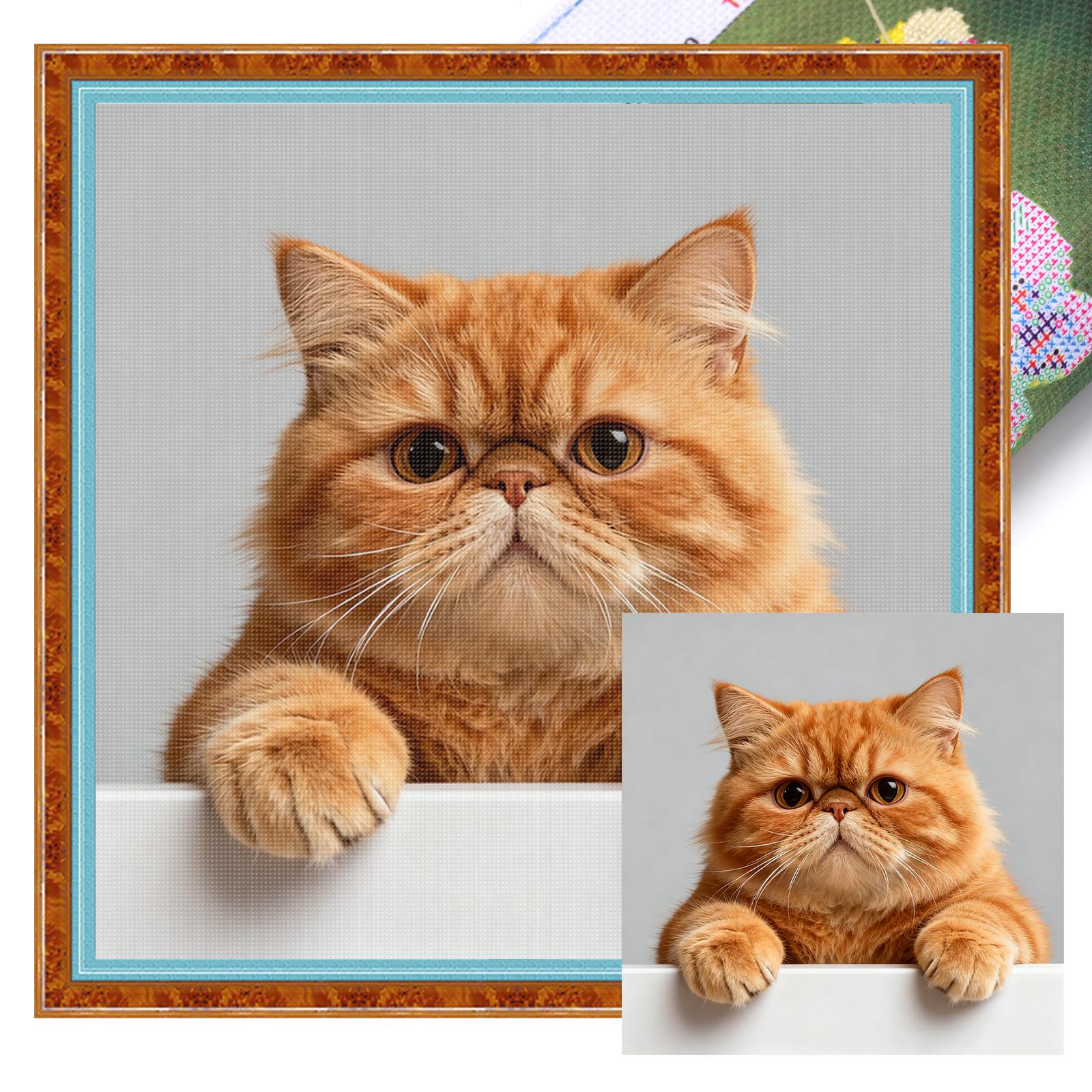 

Cat Full 11CT DIY Stamped Needlework Embroidery Kit 15.75x15.75in Embroidery Needlepoint Starter Kits for Adults Home Decor