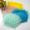 1 Meter Ostrich feather Trim Ribbon Dyed Various Long Ostrich Fringe 8-10CM feathers for crafts Dress/skirt Sewing Accessory