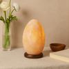 Himalayan Salt Lamp Egg With Wooden Base