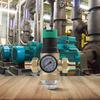 Water Pressure Regulator with Integrated Filter and Analog Pressure Gauge Compatible with DN15 and DN20 Plumbing Systems