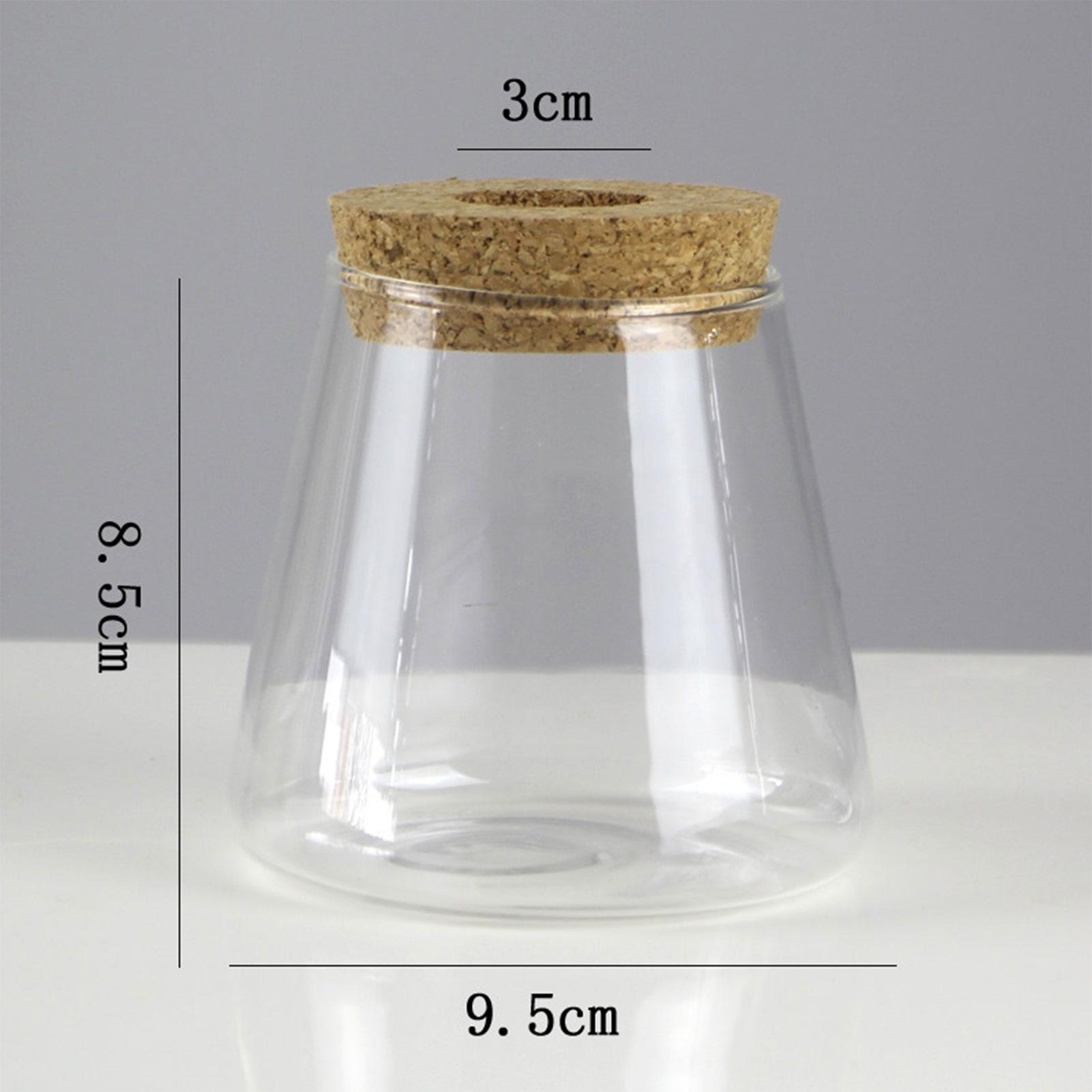 

Мини Гидропонный Цветочный Горшок Стеклянная Ваза для Растений Прозрачный Террариум Стеклянные Настольные Горшки для Растений Домашний Декор для Гостиной Стеклянная Ваза