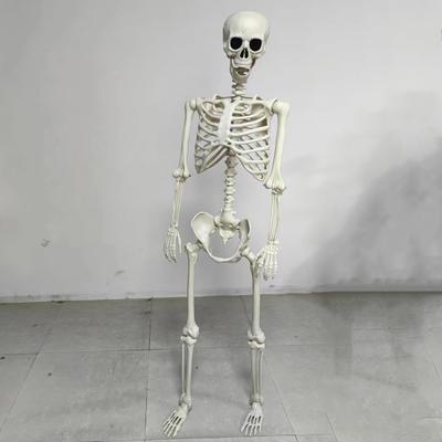 Halloweenská kostra celotělové pohyblivé klouby Realistické ozdoby lidské kostry pro párty strašidelný dům trik nebo dárky.