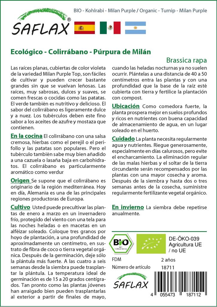 SAFLAX Organic - Turnip - Milan Purple - 600 Seeds - With Potting Substrate for Better Cultivation - Brassica Rapa