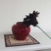 Azuma Feather Duster 60, 62cm Long, Gently Removes Dust, Made with Bird Tail Feathers, AG714
