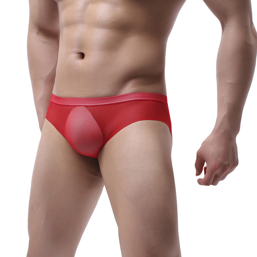 Men's  Mesh Low Waist Underwear Soft Breathable Knickers Short Sexy Briefs