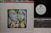 LP Record BOB JAMES DAVID SANBORN  Double Vision P13283 WARNER BROS 1986 Japan Jazz Used