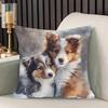 Shetland Sheepdog Puppy Kussenslopen Stoel Woonkamer Kussensloop Gezellig Rits Bank Kussenslopen Slaapkamer Binnen Huis Decoratie