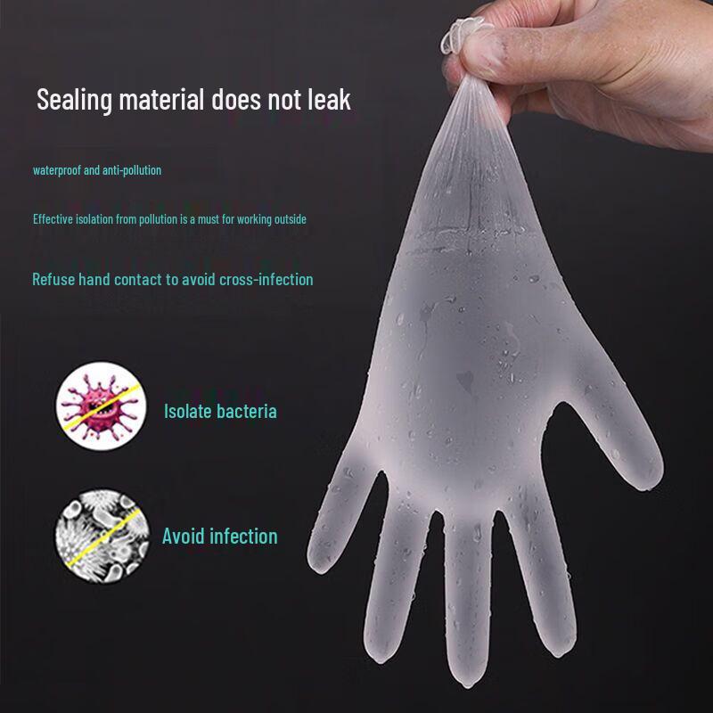 Transparent Disposable PVC Gloves