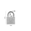 Premium Heavy Duty Iron Lock Anti Theft Reliable Security Lock for Family Home Door Office Gate Indoor Protection