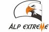 Alp Extreme Wanderer-Steigeisen Ice Trail M 36-40