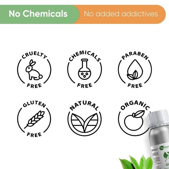 Naturalis Kampferöl - Reines und Natürliches Dampfdestilliertes Kampfer ätherisches Öl für Haut, Haare und Aromatherapie - Kampfer Mückenschutzmittel - 500ml