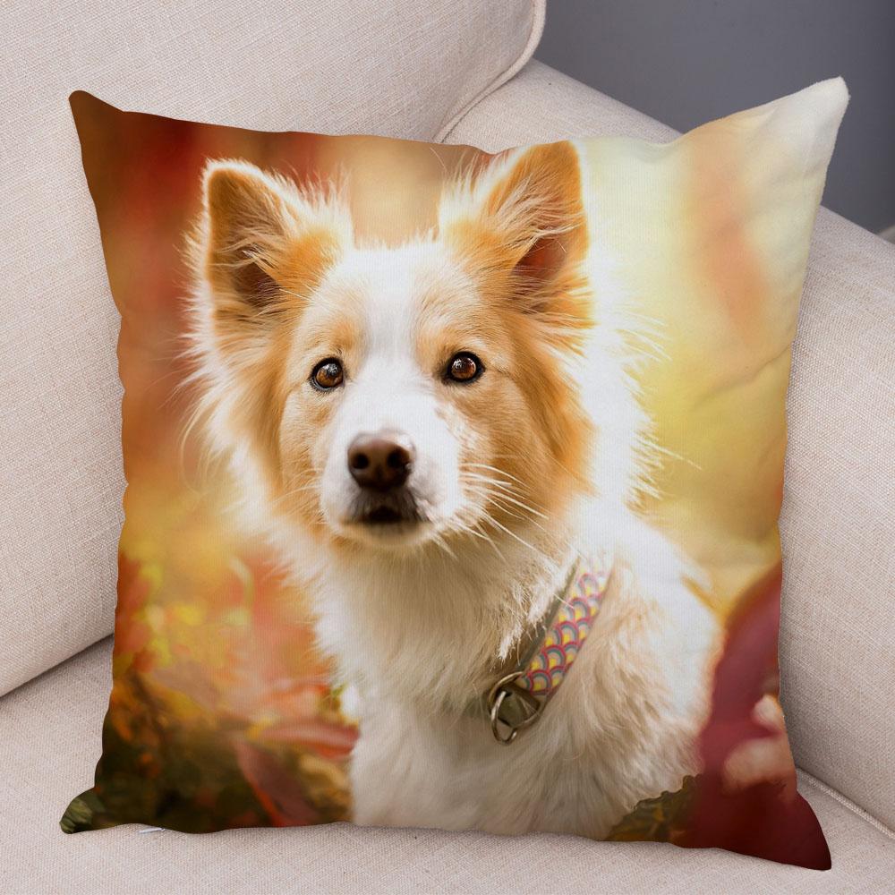 Cute Pet Animal Dog Print Pillowcase Scottish Border Collie Cushion Cover  Sofa Car Decoration