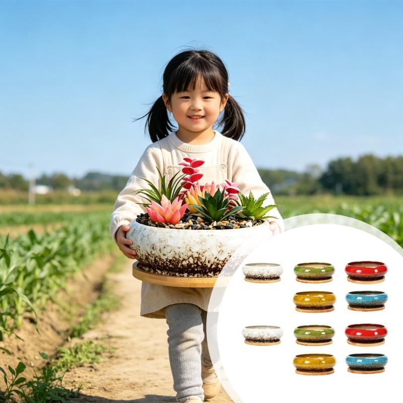 Round Shallow Ceramic Succulents Planter Bowl for Flower Succulents Cactuses Small Desktop Plant Container