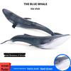 Children's Marine Life Blue Whale Cognitive Toy Model