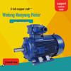 Wolong Low-Voltage IE4 Self-Starting Explosion-Proof Permanent Magnet Synchronous Motor