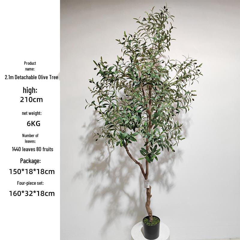 Olive Tree Potted Plant - Indoor Decor Simulation for Living Room