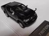 TRITON Black Mica Finished Product WIT'S 1/43