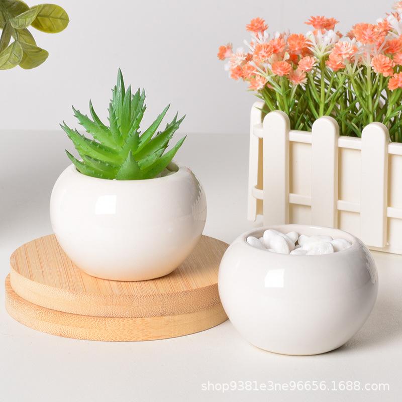Simple Succulent Flower Pot Plant Potted Mini Round Ceramic Pot Home Decoration Green Plant Small Flower Pot