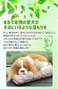 TASINO Dog Plush Toy Figurine Cavalier 26 X 18 Cm Realistic Cute Lifelike