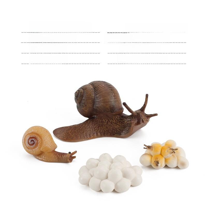 Allomyrina Dichotoma Model Pvc Realistic Display Scene For Science Education And Collectors