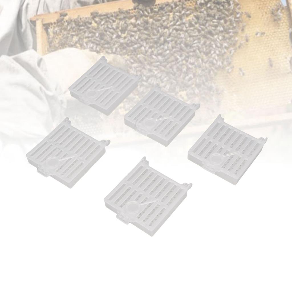 10PCS Queen Bee Catcher Cage Plastic Transparent Multifunctional Queen Bee Catching Box for Beekeeping Tools