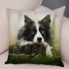 Roztomilý mazlíček Zvíře Povlak na polštář Skotská kolie Okrajová Povlak na polštář pro dekoraci pohovky auta Potisk psa Měkký plyšový povlak na polštář