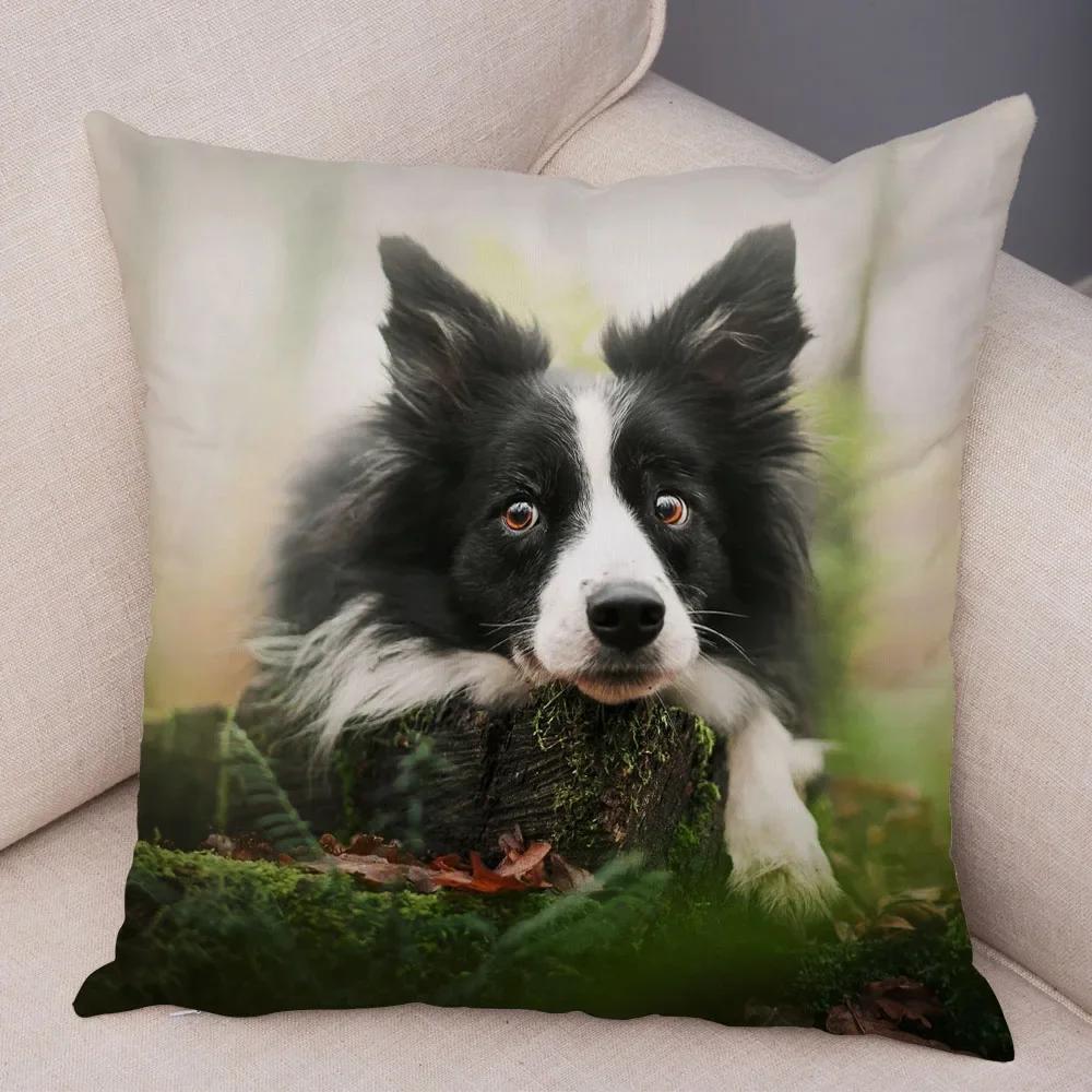 Cute Pet Animal  Cushion Cover Scotland Border Collie Pillowcase for Sofa Car Decor Dog Printed Soft Plush Pillow Case