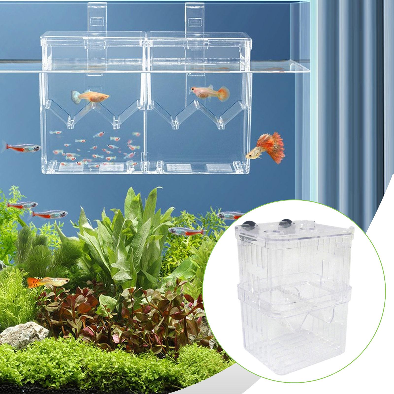 Professional Aquarium Fish Breeder Box Transparent Plastic Aquarium Accessories Suction Cup Isolation for Fish Tank Hatching прозрачный