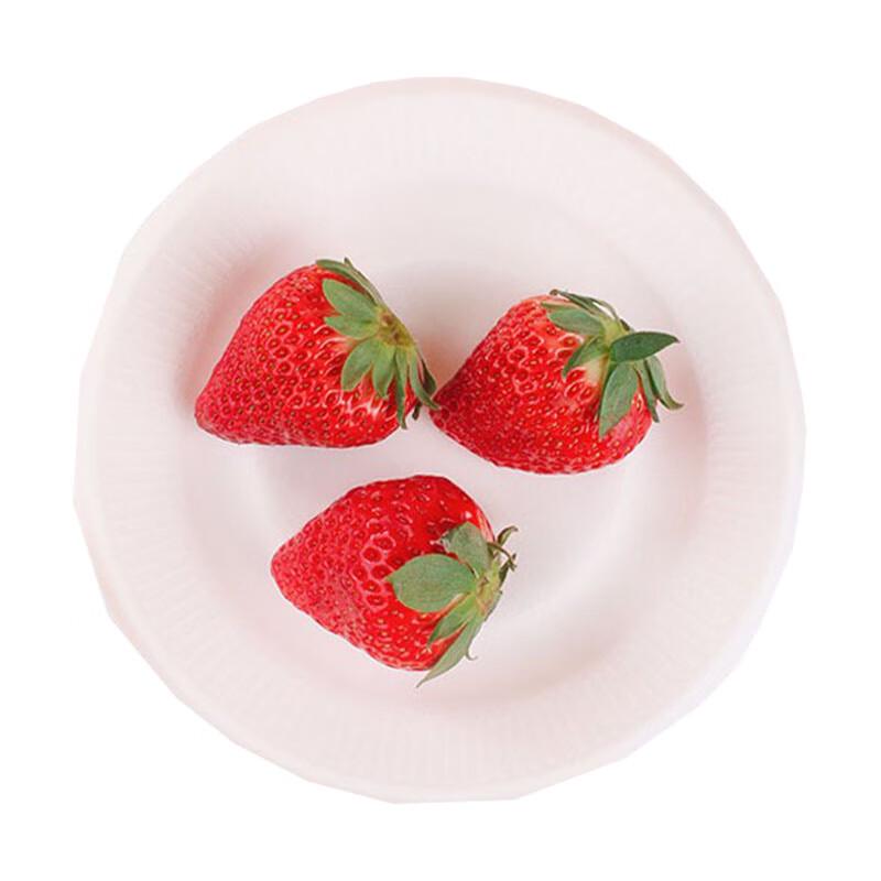 

Youao Biodegradable Paper Plates