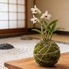 Pot de fleurs boule de mousse Yousheng Pot à plantes en mousse naturelle créatif Support décoratif pour plante bonsaï pour jardinage DIY Table de maison