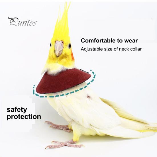 Adjustable Parrot Recovery Collar Anti-Biting Injury Protection Fastener Tape Fixing Bird Collar Pet Bird