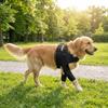 Breathable Dog Shoulder Brace Adjustable Dog Joint Protection Sleeve Joint Support Wrap  Walking