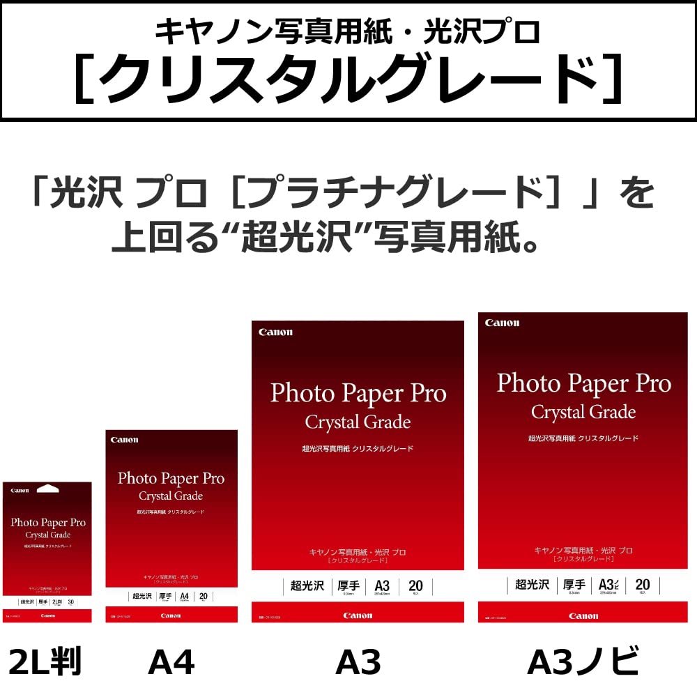Canon Photo Paper Glossy Pro A3 Plus 20 Sheets CR-101A3N20
