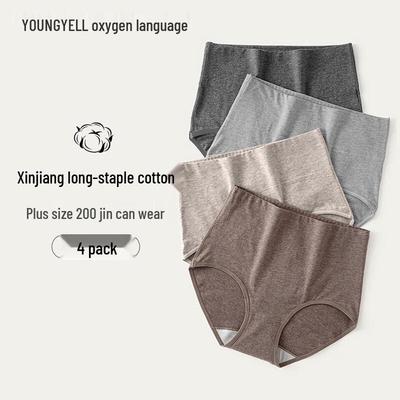 YOUNGYELL Women's 7A Antibacterial Cotton High-Waist Panties 4-Pack