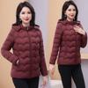 Damska Krótka Kurtka Puchowa - Lekka, Pogrubiona, Ciepła, Bawełniana Kurtka w Stylu Koreańskim