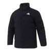 Adidas Men's Winter Sports Lifestyle Down Jacket