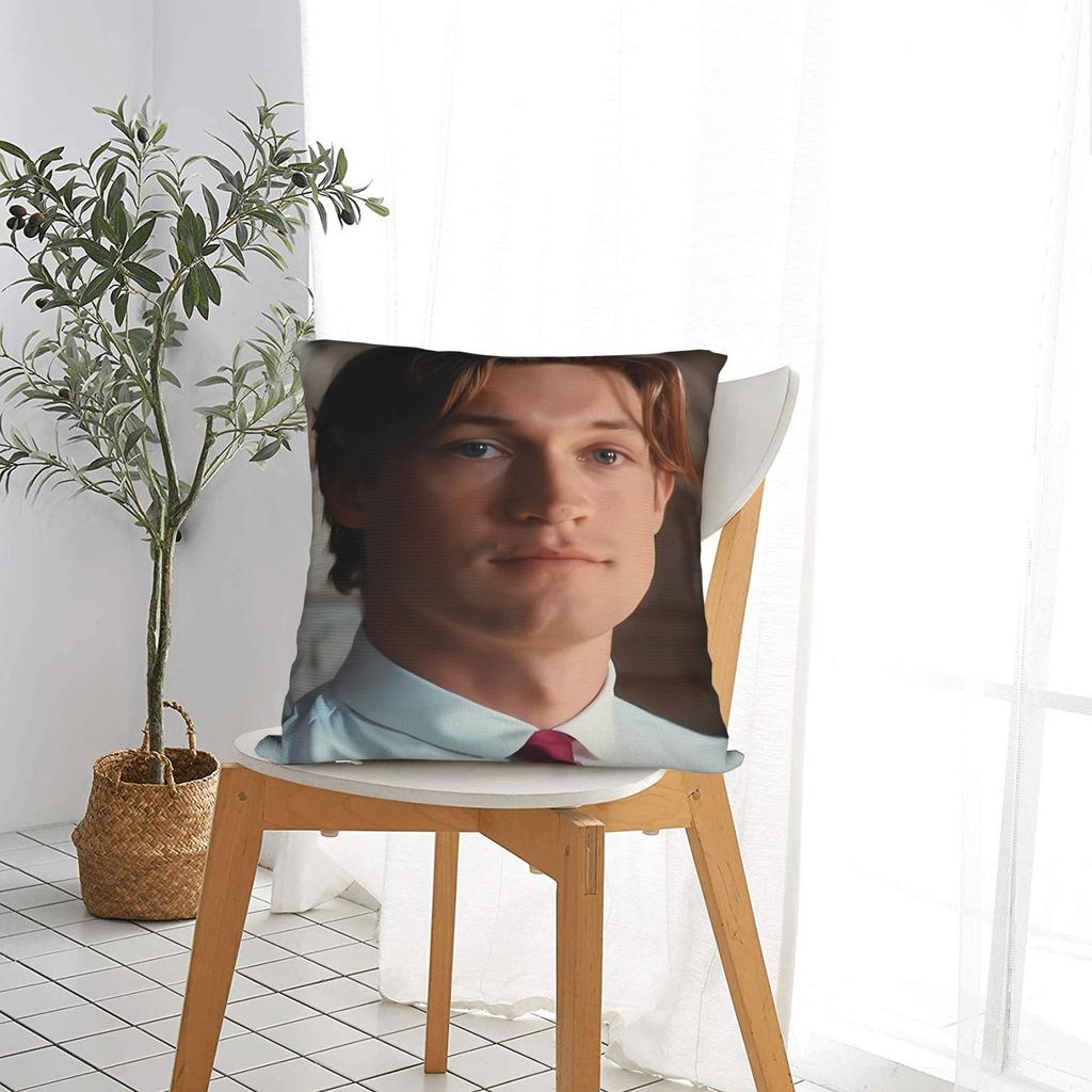 James Beaufort Pillowcases Kawaii Pillow Case For Sofa Home Decoration Comfy Pillow Cover