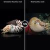 Realistic Nautilus Plush Toy Simulation Lifelike 8 Inch Nautilus Stuffed Animal Toy Soft Sea Creature Unique Plush Model Doll Collection for Kids -