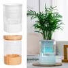 Creative Yellow White Hydroponic Flowerpot Imitation Glass Mini Plants Pots Transparent Desktop Ornament Flower Pot