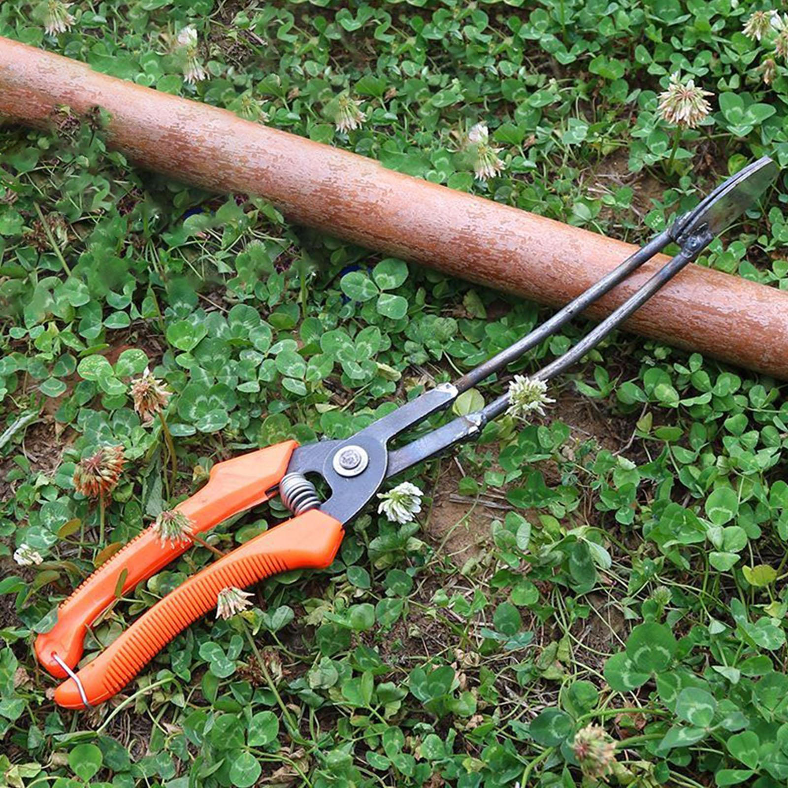 

Садовый гаджет для рассады Ручной инструмент для посадки овощей