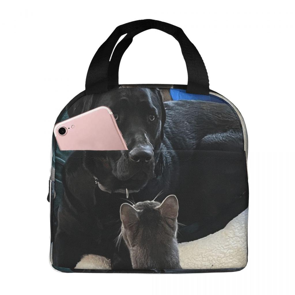 Adorable Dog Puppy And Kitten Friends Insulated Lunch Bag for Office Cooler Thermal Food Box Tote Portable Lunch Boxes Container