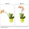 Rust Resistant Metal Plant Support Rods 35/45/55cm Garden Stakes for Flower Stem Climbing Vines Potted Plants