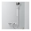 Integrated Thermostatic Shower System