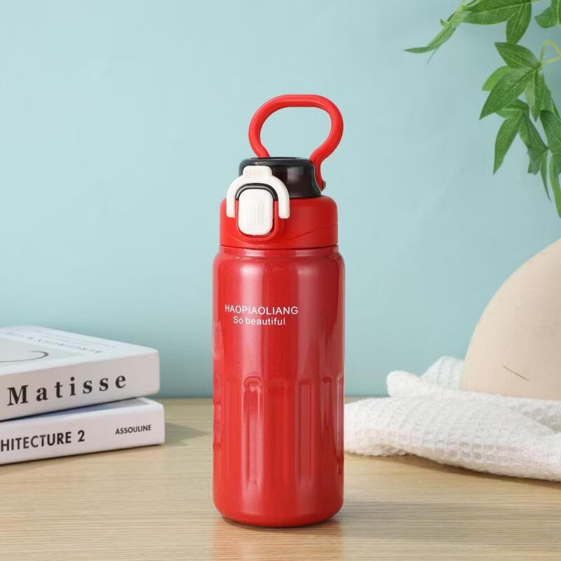 

Portable Insulated Sport Water Bottle with Pop-up & Handle