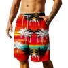Men's Summer Hawaiian Shorts