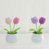 Hand-woven Tulip Flower Pot, Realistic Simulation Flower Design, Perfect Gift for Girlfriend, Relatives, Friends, Bright Colorful Home and Party
