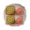 Cute FlowerS Shape DIY Pastry Moulds Mooncake Mold Mooncake Mould Hand Pressure Tool Plastic Material Baking Accessories