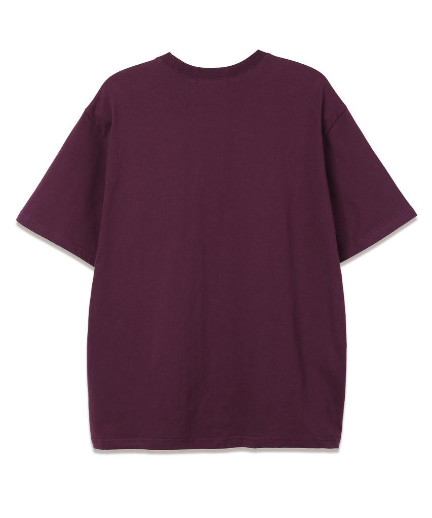 VANNWORKS Chi Chi Park Oversized Short Sleeve T-Shirt (Vs0098) Purple