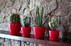 Vaso da fiori con coperchio in plastica, rosso, 13,5 cm, Magnolia