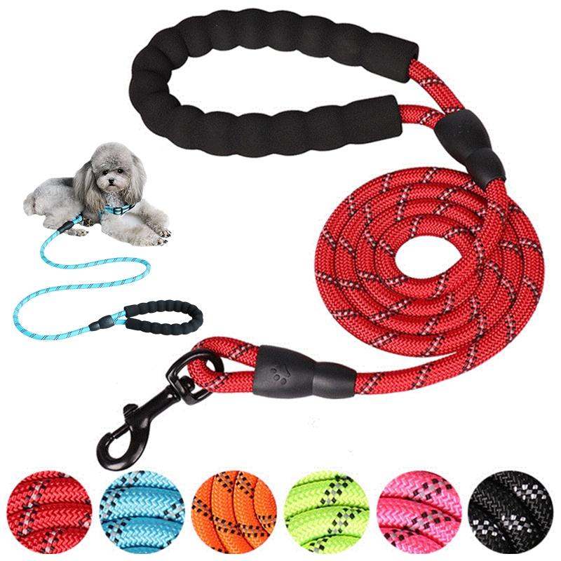 Durable 5ft Reflective Dog Leash With Padded Handle For Big And Small Breeds